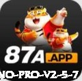 br3333 Casino Pro v2.5.7
